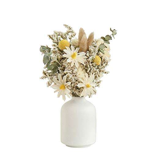 Ceramic Vase for Home Decor,Ceramic Vase, Dried Flower Vase, Living Room Decoration, Flower Arrangement Decoration Shooting Props,The Best Gift (White)