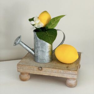Farmhouse 3pc Lemon & Watering Can Tiered Tray Decor Summer Decor Lemonade