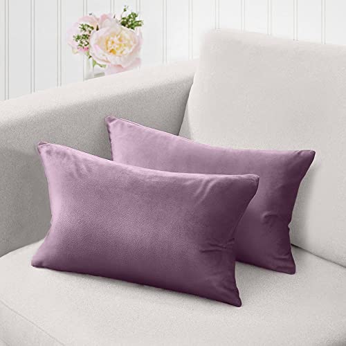 The Connecticut Home Company Velvet Throw Pillow Covers, Set of 2, Soft Decorative Solid Pillowcases, Luxury Home Décor Accent Cushion Cases for Livingroom Couch, Bedroom, Sofa Bed, 12x20, Amethyst