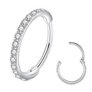 BLESSMYLOVE Clear CZ Silver 20G 8mm Nose Rings Hoop 316L Surgical Steel 20 gauge Cartilage Earrings Conch Daith Helix Rook Tragus Lobe Snug Body Piercing Jewelry Stainless Steel Hinged Segment Rings Lip Rings
